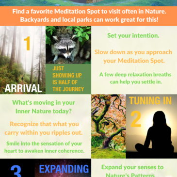 The 4-Part Outdoor Meditation Cycle