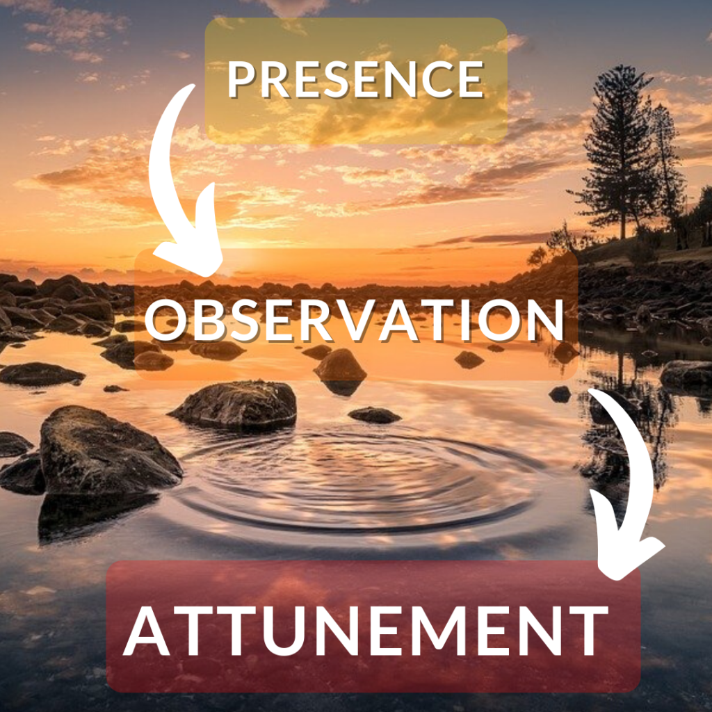The 3 Conditions of Mindful Awareness in the Art of Holistic Tracking. Presence, Observation and Attunement. Learn tracking with Conscious Nature author Josh Lane.